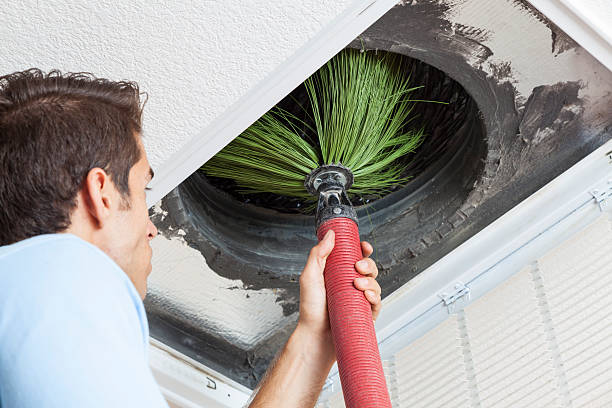 Best Affordable Air Duct Cleaning  in Skyline, AL