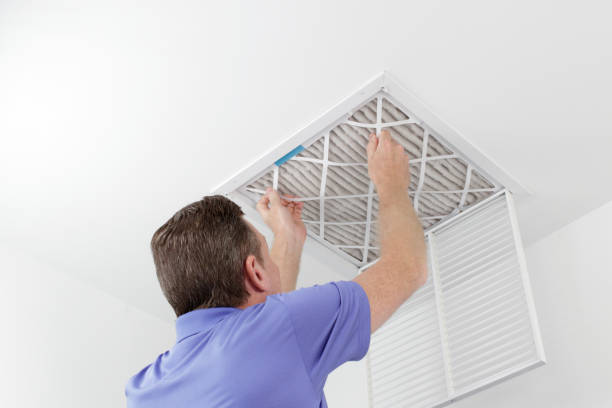 Best HVAC Duct Inspection Services  in Skyline, AL